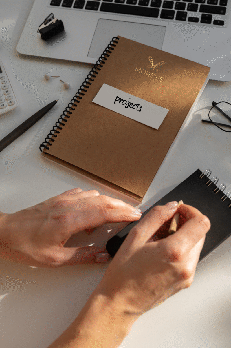 Moresis, succes cases, projects, opinions, trade and investment in Asia